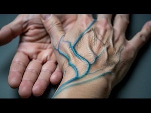 What Your Hand Veins Really Say About Your Health