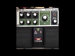 Boss RE-20 Slapback settings