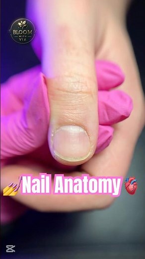 Nail Anatomy Explained in 30 Seconds! 💅