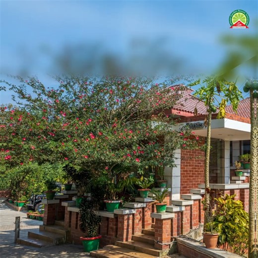 What’s better than BBQ season? That too in the heart of nature! 🌿🍴 Lemon Garden Resort invites you to a celebration of flavors, laughter, & togetherness. Unwind in the beauty of Sreemangal while enjoying a sizzling BBQ with your loved ones. Whether it’s the juicy kebabs or the serene ambiance, every moment promises to be unforgettable. 🌟 Create memories worth cherishing. Book your BBQ experience today: 📞 880 1779 626 330 | 880 1334 411 540 | 880 1311 166 426 #LemonGardenResort #Sreemangal #B