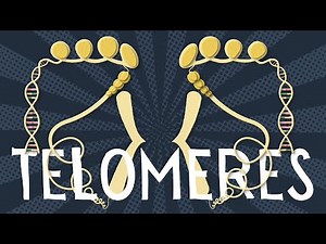 Telomeres explained in less than 5 minutes!
