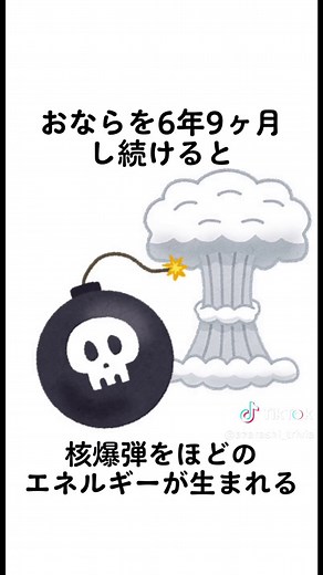 【おなら】 たぶん役に立たない雑学 #雑学あざらし #おなら #手術 #爆発 #ニオイケア