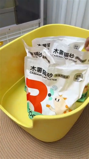 Secretly Keeping a Cat? This Litter Has ZERO Smell! #cat #pet