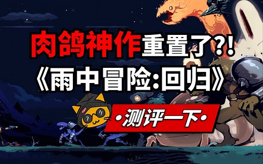 抛开问题不谈，没有问题！《雨中冒险：回归》steam游戏测评！