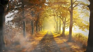 92K views · 2.8K reactions | song of the day | Radio Maria Kenya | Facebook