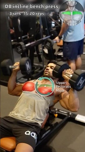 How to Do Dumbbell Incline Bench Press || Proper Form