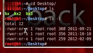 BT5 学习入门之皮毛