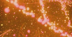 Video by Nicola Narracci on Pexels