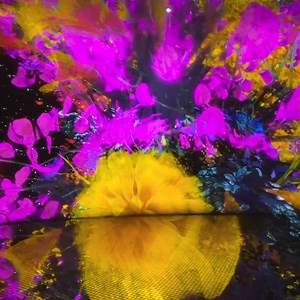 On view at “teamLab Phenomena Abu Dhabi” Saadiyat Cultural District, Abu Dhabi Permanent https://www.teamlab.art/e/phenomena/ ・ “Biocosmos” The movement of hundreds of thousands of birds is beautiful and mysterious, like a single, giant life form. Even if each individual element is separated in space and time, when there is order among them, the individual elements may be recognized as a single entity that transcends space and time. Despite significant changes in shape or size on the surface, or