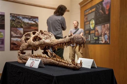 Zion National Park Opens Temporary Exhibit On The End Triassic Extinction
