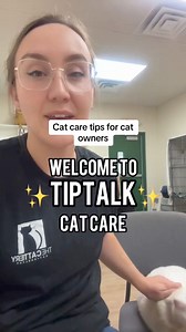 Cat care tips for every cat owner! The basics 🐱 #basiccatcare #catcare #tiptalk #catownertips #nailtrim #brushing #litterbox #catfood #catfountain | The Cattery Cat Shelter