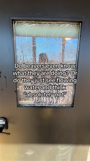 The Cool Window Guys on Instagram: "This is a honest question #homeonwer #windowcleaning #viral #fyp"