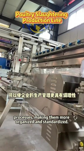 4.2K views · 12 reactions | Poultry Slaughtering Equipment Production Line (for chickens, ducks and geese). If you intend to build a poultry slaughterhouse, please feel free to contact me. | NPW Slaughter＆Process Equipment | Facebook