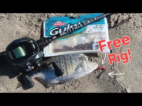 Surf Perch Bfs fishing: Mission Beach! Gulp Alive Sandworms - Free Rig!