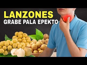 LANZONES GRABE PALA ANG EPEKTO NITO - 7 Benefits of Lanzones