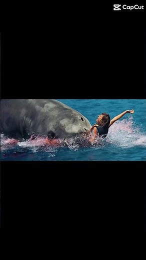 Jaws: The Revenge 1987 #horror #thriller #sharkweek 🦈