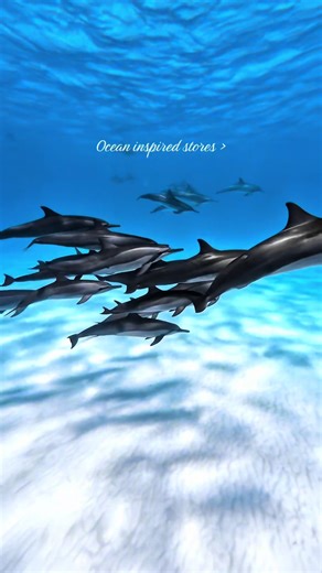 Dive into the deep blue 🌊🐬 ! Explore our ocean-inspired store, where every piece of jewellery captures the magic of the sea 🌺🥥Shop now and bring the beach to you!🌞 #OceanInspired #JewelleryLovers #BeachLife #oceangirl #swimmingwithdolphins This stunning dolphin swimming content was captured by @Laii🌺