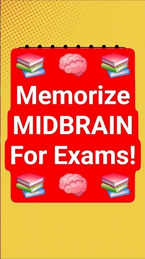 Part 3 | MIDBRAIN Anatomy and Functions! Ms. Riaz Academy #short
