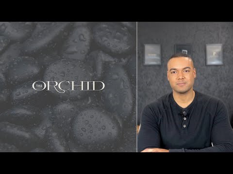 Pt 4 — Create a Minimalist Wordmark Logo: Combining Serifs + Ligatures - Examples: The Bad