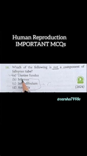 Human Reproduction IMPORTANT MCQs
