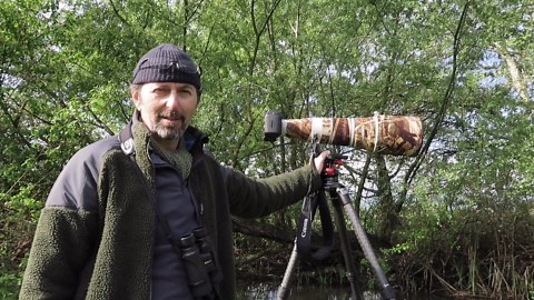 Stunning footage of spring migration arrivals found