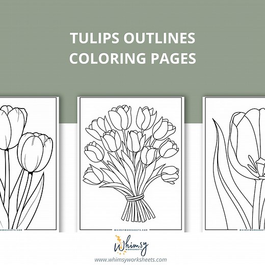 80 Tulip Coloring Pages | Floral Outline Art for Adults & Kids (PDF) - Etsy