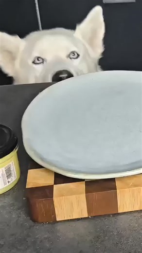 Mikołaj Drożdżyński | Przepisy | Kuchnia | YouTube | CHRUPIĄCY ŁOSOŚ NA MAŚLE KLAROWANYM + KREMOWE RISOTTO KOPERKOWE 🤯 Złocista skórka, soczyste wnętrze i aksamitne risotto… To jest poziom... | Instagram