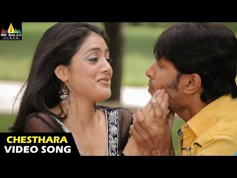 Vennela Songs | Chesthara Love Video Song | Raja, Parvati Melton | Sri Balaji Video