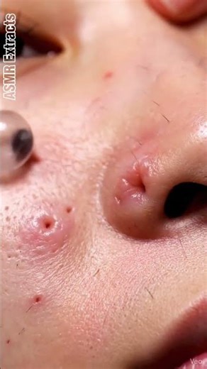 ASMR Extracts | Fresh Clean Finish