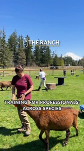 1.5K views | Training for Professionals is our flagship course at The...