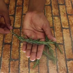 14K views · 199 reactions | Rosemary Tea And Its Benefits! You'll love it!!! | Recipes And tips of the day | Facebook