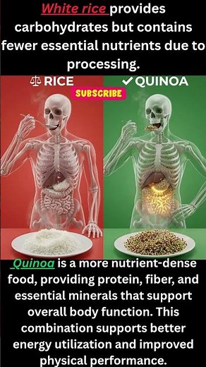 Quinoa vs Rice NUTRIENT DENSITY & BODY FUNCTION