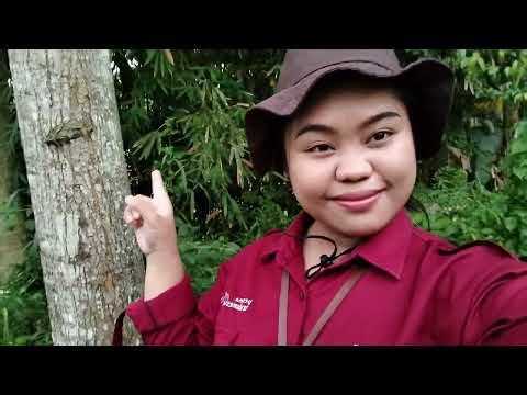 Ecoguide for assesment Eco-Tourism