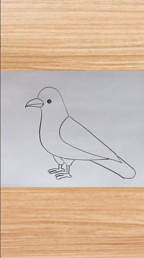 How to draw bird drawing easy step by step