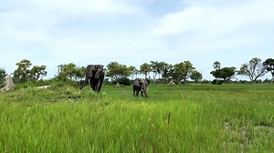 22K views · 1.1K reactions | A HEARTBREAKING ANNOUNCEMENT I sit here...