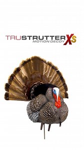 4.9K views · 40 reactions | 旅TRU-STRUTTER 旅 The Higdon Outdoors Tru-Strutter Motion Turkey Decoy is a real game changer. Jealous Tom Turkeys are drawn to this strutting motion decoy like a magnet. When you add realistic movement to a highly detailed, brilliantly colored full-strut decoy, it is an irresistible combination. #HigdonOutdoors #HigdonOutdoorsTV #HigdonTurkey | Higdon Outdoors | Facebook
