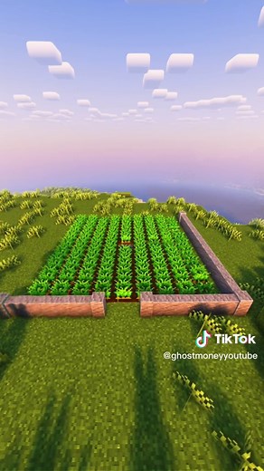 Ultimate Minecraft Carrot Farming Guide!