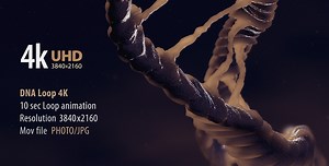 DNA Loop 4K