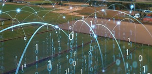 Blockchain could play an important role in future agriculture and food security