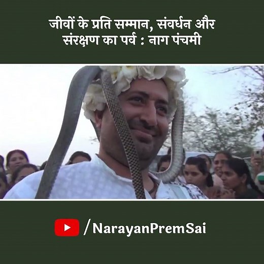 नागपंचमी विशेष ! #नागपंचमी #NarayanSai #Nagpanchmi