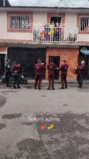 Señora Señora - Mariachi sinaloense: canción dedicada a mamá