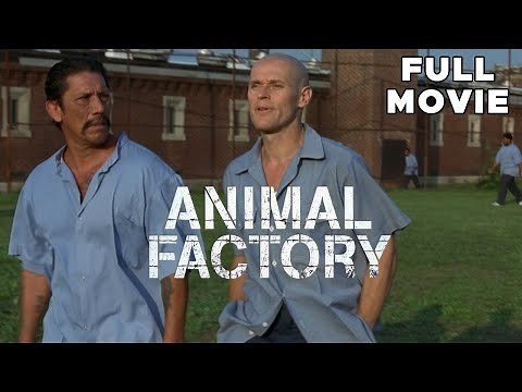 Animal Factory | FULL MOVIE | Willem Dafoe, Edward Furlong, Danny Trejo | Prison Crime Drama