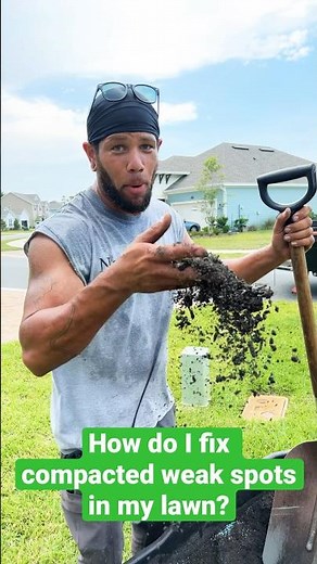 How do I fix compacted weak spots in my St. Augustine Grass? (Top dressing tips) #staugustinegrass