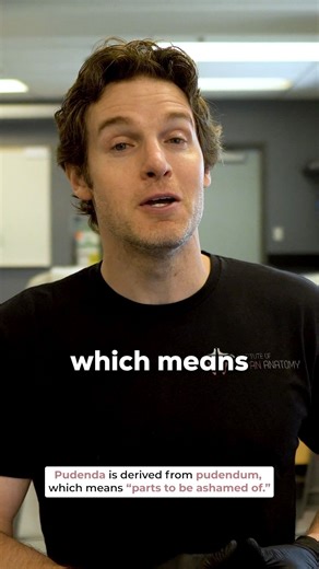 Institute of Human Anatomy | The Nerve that Controls Your Genitals #reproductivehealth #womenshealth #womensrights | Instagram