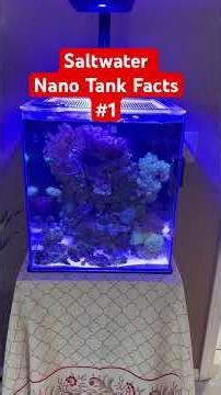 Saltwater Nano Tank Facts | #1 #nanoreef #reeflife #aquarium