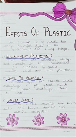 project file Ideas 💡🌟 #project #projectfile #environmentanddisastermanagement #itspihubhumi