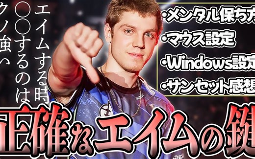 [熟]Demon1 G-Wolves驱动设置公开 意料之外的Windows鼠标设定 ps. 结尾附带激情扣字环节【Valorant】