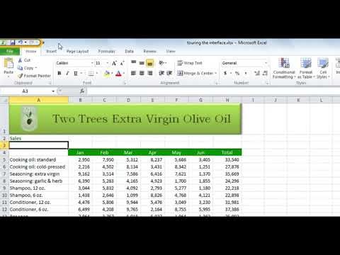 Touring the interface in Excel