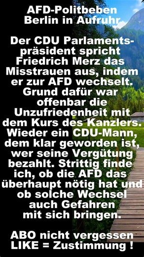 AFD-Politbeben #politik #afd , #shorts , #shortsfeed, #shortvideo, #foryou, #fyp ,#deutsch ,#short