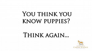 38K views · 218 reactions | FIRST OFF...Do you want to win £250 worth...